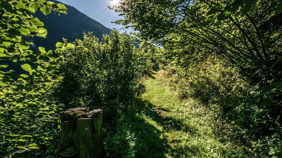 Wanderung Untertaler Aussichtsrunde - Touren-Impression #2.13 | © Gerhard Pilz - www.gpic.at