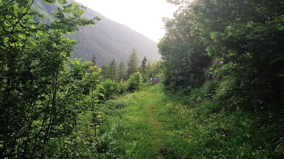 Wanderung Untertaler Aussichtsrunde - Touren-Impression #2.14 | © Gerhard Pilz