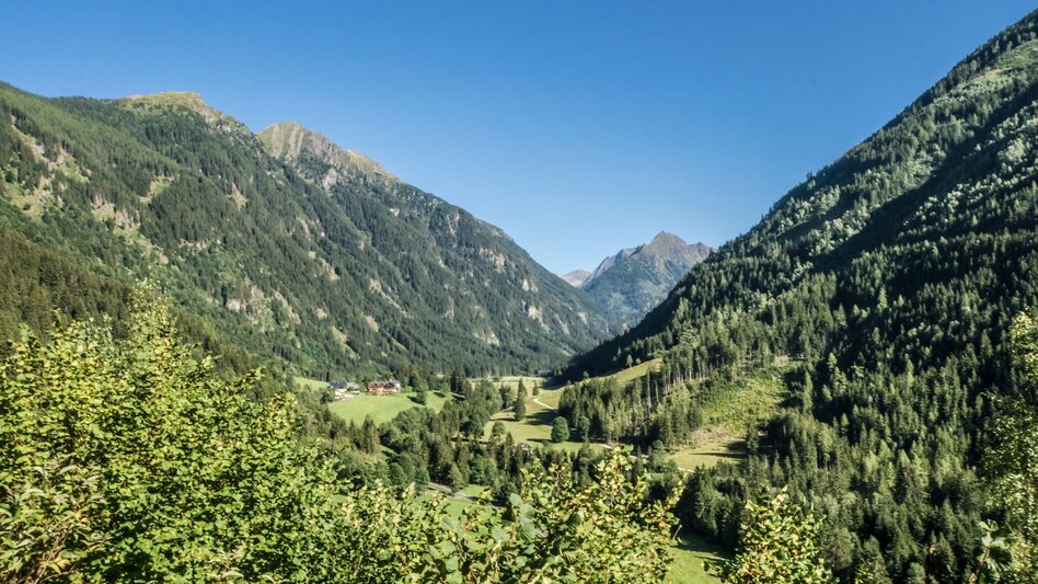 Wanderung Untertaler Aussichtsrunde - Touren-Impression #2.15 | © Gerhard Pilz - www.gpic.at