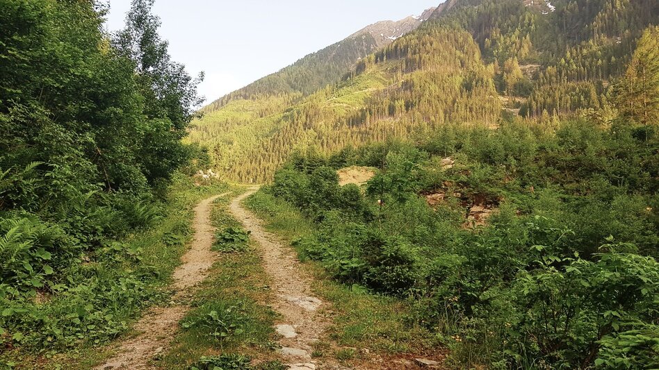 Wanderung Untertaler Aussichtsrunde - Touren-Impression #2.16 | © Gerhard Pilz