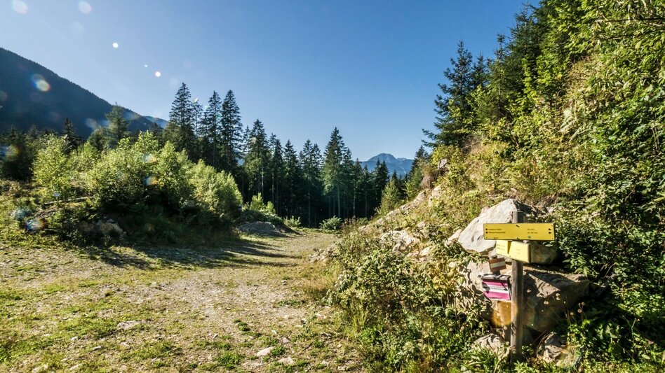 Wanderung Untertaler Aussichtsrunde - Touren-Impression #2.17 | © Gerhard Pilz - www.gpic.at