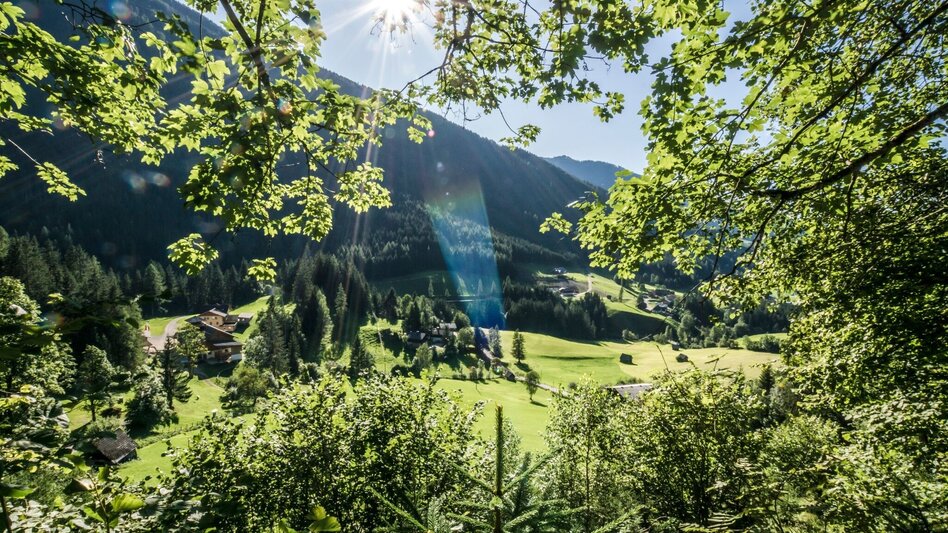 Wanderung Untertaler Aussichtsrunde - Touren-Impression #2.19 | © Gerhard Pilz - www.gpic.at