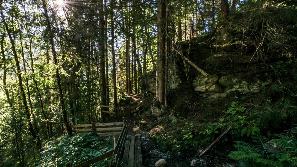 Wanderung Untertaler Aussichtsrunde - Touren-Impression #2.20 | © Gerhard Pilz - www.gpic.at