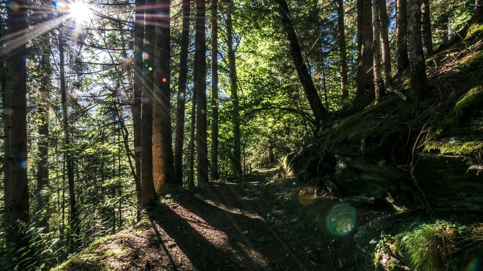 Wanderung Untertaler Aussichtsrunde - Touren-Impression #2.21 | © Gerhard Pilz - www.gpic.at