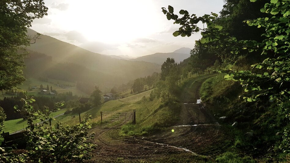 Wanderung Untertaler Aussichtsrunde - Touren-Impression #2.22 | © Gerhard Pilz