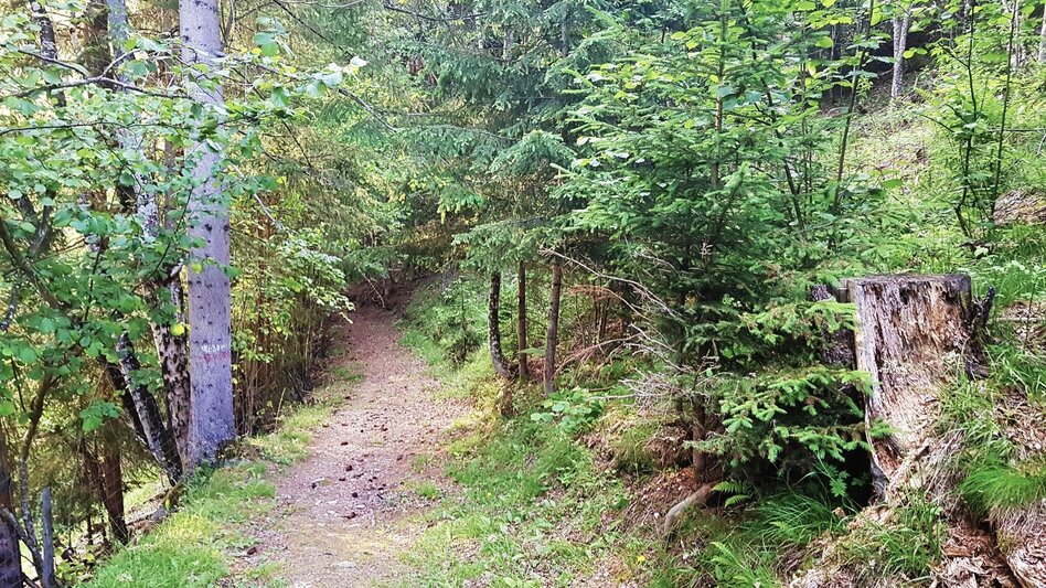 Wanderung Untertaler Aussichtsrunde - Touren-Impression #2.23 | © Gerhard Pilz