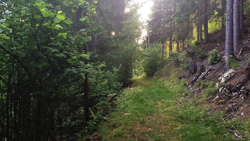Wanderung Untertaler Aussichtsrunde - Touren-Impression #2.26 | © Gerhard Pilz