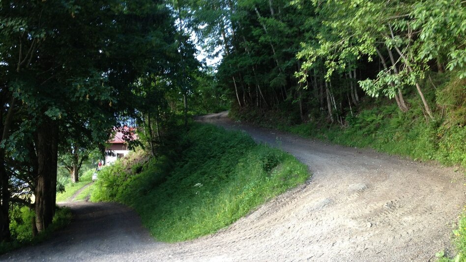 Wanderung Untertaler Aussichtsrunde - Touren-Impression #2.28 | © Gerhard Pilz