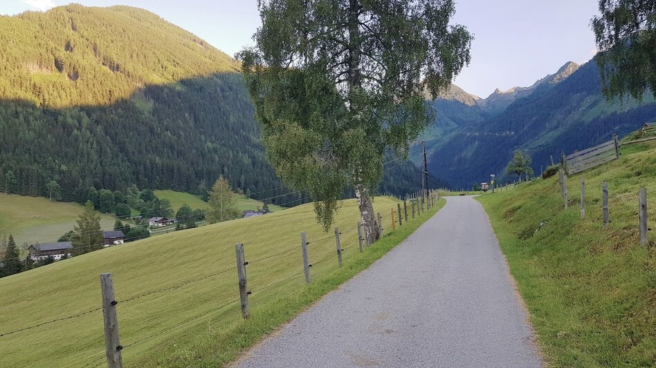 Hiking route Miners' Trail - Touren-Impression #2.4 | © Gerhard Pilz