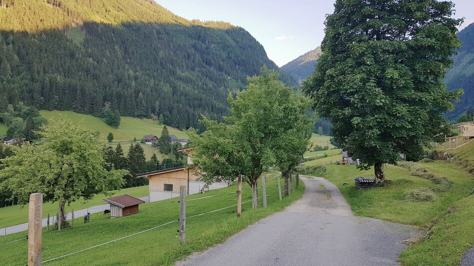 Hiking route Miners' Trail - Touren-Impression #2.5 | © Gerhard Pilz