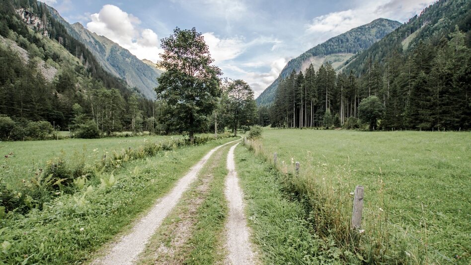 Hiking route Miners' Trail - Touren-Impression #2.1 | © Tourismusverband Schladming
