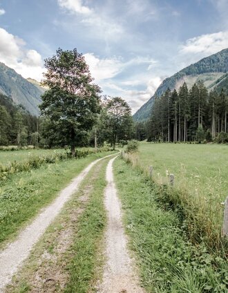 Miners' Trail is surrounded by lush green | Gerhard Pilz | © Tourismusverband Schladming
