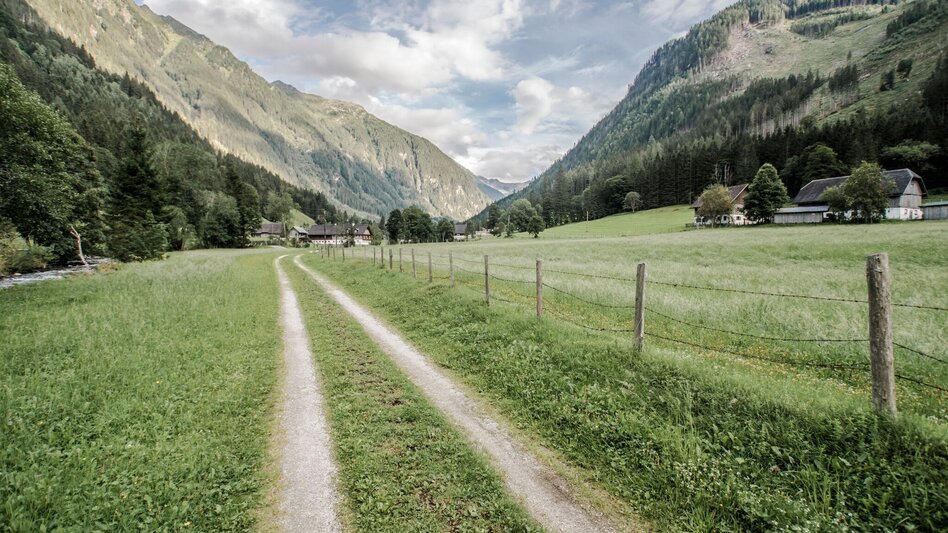 Hiking route Miners' Trail - Touren-Impression #2.7 | © Tourismusverband Schladming
