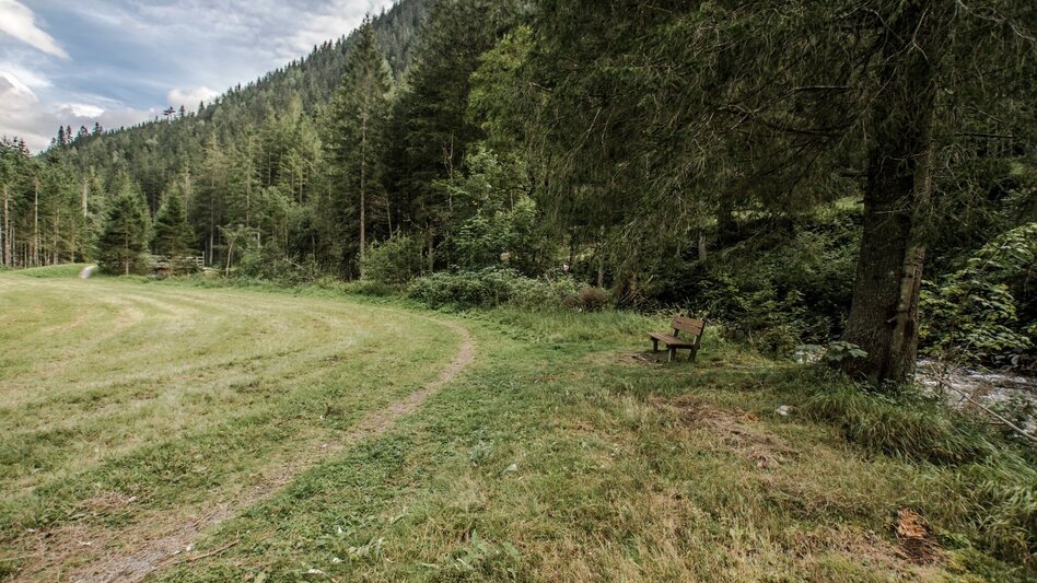 Hiking route Miners' Trail - Touren-Impression #2.9 | © Tourismusverband Schladming