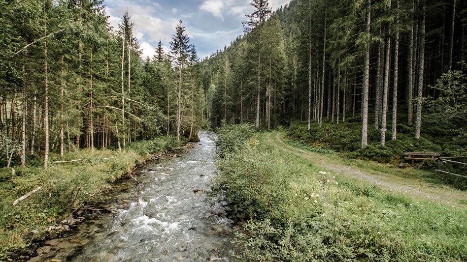 Hiking route Miners' Trail - Touren-Impression #2.10 | © Erlebnisregion Schladming-Dachstein