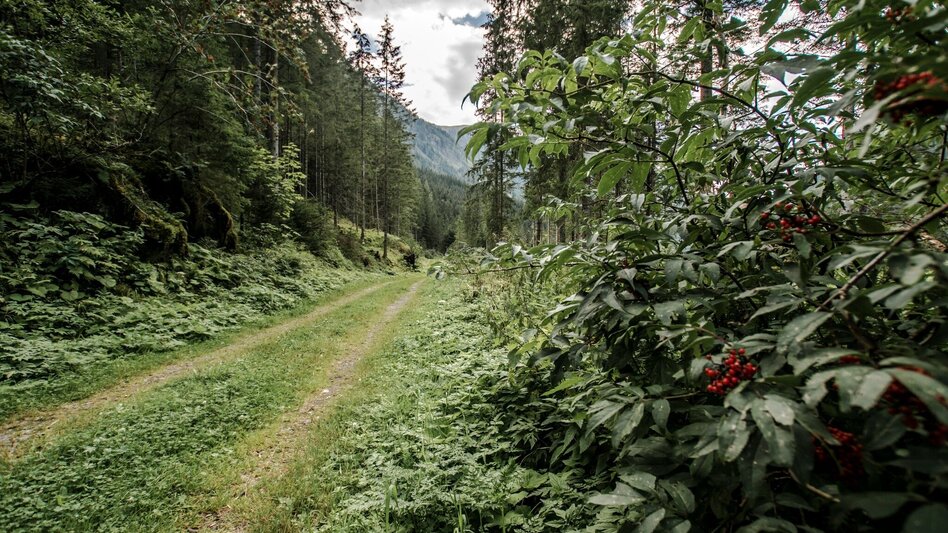 Hiking route Miners' Trail - Touren-Impression #2.15 | © Erlebnisregion Schladming-Dachstein
