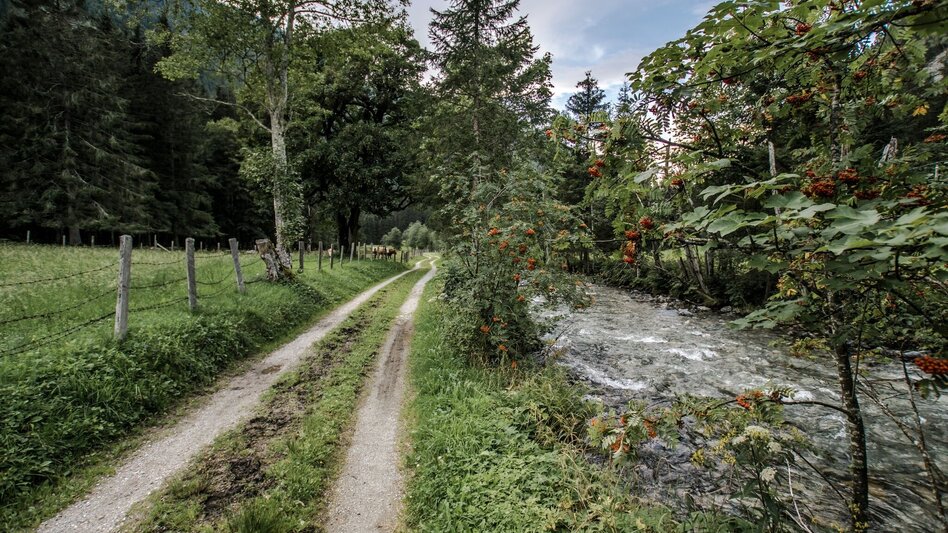 Hiking route Miners' Trail - Touren-Impression #2.16 | © Tourismusverband Schladming