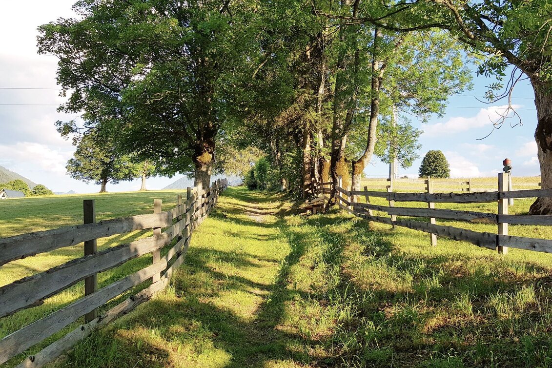 Hiking route Meadow Trail Rohrmoos - Touren-Impression #1 | © Gerhard Pilz