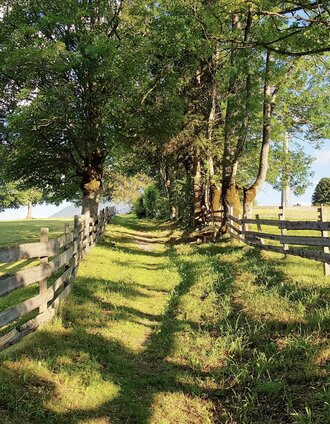 "Alberlechgasse" trail - a nice part of Meadow Trail in Rohrmoos | Gerhard Pilz | © Gerhard Pilz