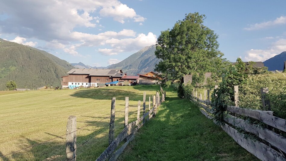 Hiking route Meadow Trail Rohrmoos - Touren-Impression #2.6 | © Gerhard Pilz