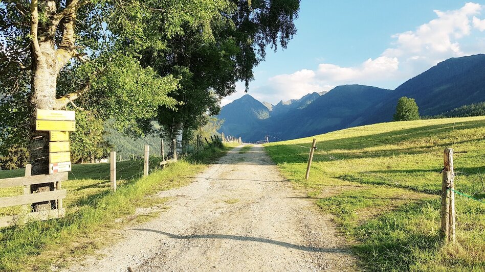 Hiking route Meadow Trail Rohrmoos - Touren-Impression #2.7 | © Gerhard Pilz