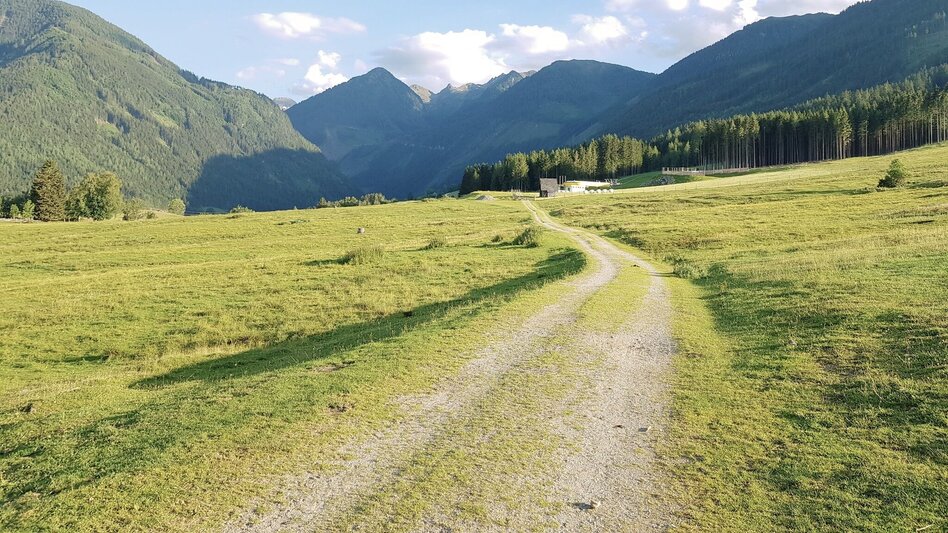 Hiking route Meadow Trail Rohrmoos - Touren-Impression #2.8 | © Gerhard Pilz