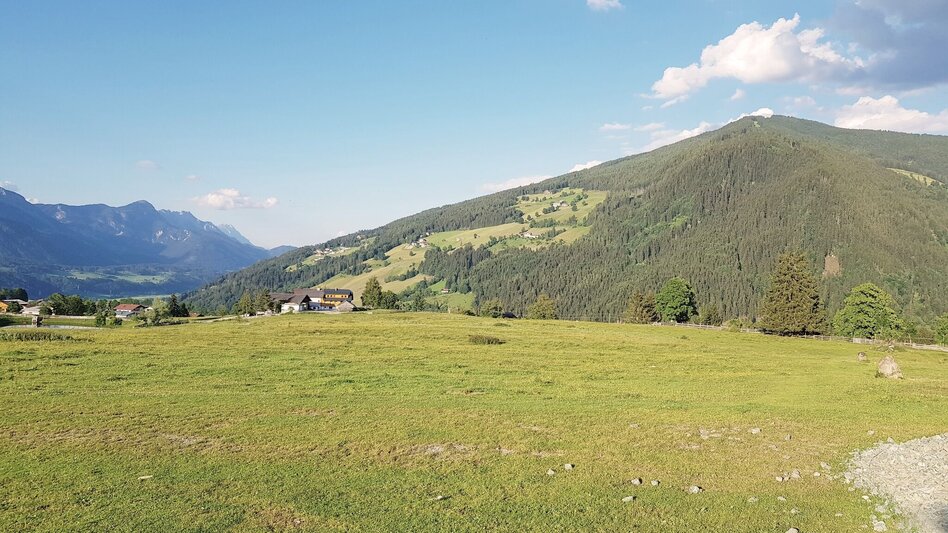 Hiking route Meadow Trail Rohrmoos - Touren-Impression #2.10 | © Gerhard Pilz