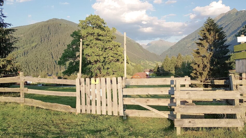 Hiking route Meadow Trail Rohrmoos - Touren-Impression #2.13 | © Gerhard Pilz