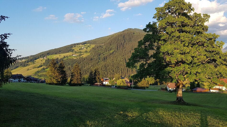 Hiking route Meadow Trail Rohrmoos - Touren-Impression #2.14 | © Gerhard Pilz