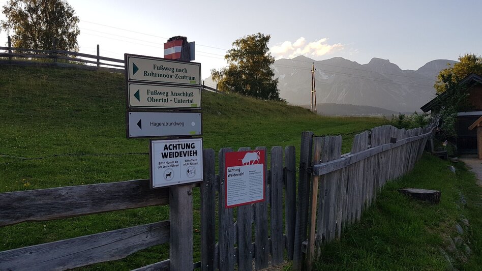 Hiking route Meadow Trail Rohrmoos - Touren-Impression #2.15 | © Gerhard Pilz