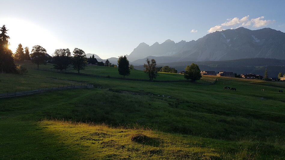 Hiking route Meadow Trail Rohrmoos - Touren-Impression #2.16 | © Gerhard Pilz
