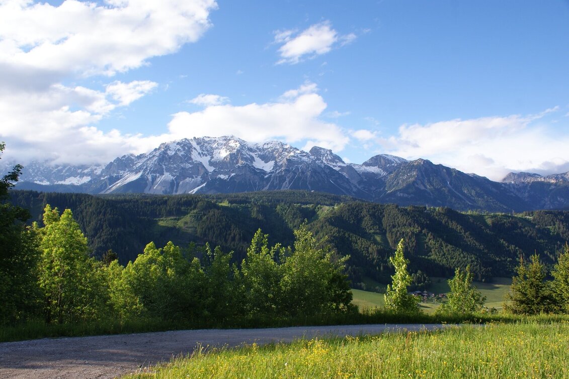 Hiking route The Encounter Walk - Touren-Impression #1 | © Gerhard Pilz