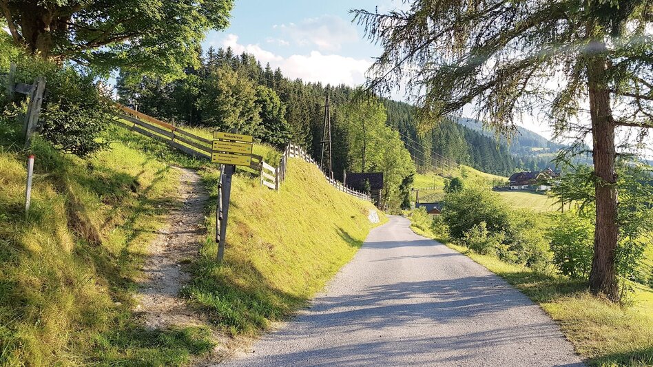 Hiking route The Encounter Walk - Touren-Impression #2.2 | © Gerhard Pilz