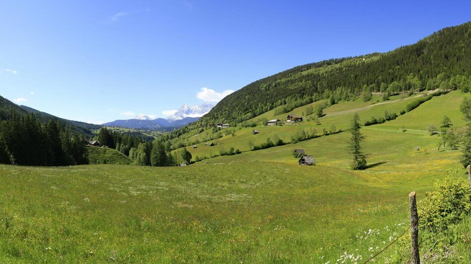 Jogging Hans Knauss Trail - Touren-Impression #2.4 | © Tourismusverband Schladming - Raimund Griesser