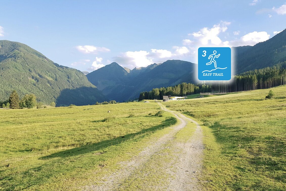 Trailrunning Bernhard Knauß Trail - Touren-Impression #1 | © Erlebnisregion Schladming-Dachstein