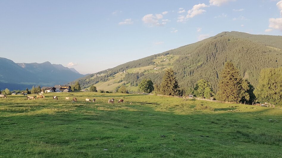 Trailrunning Bernhard Knauß Trail - Touren-Impression #2.2 | © Gerhard Pilz