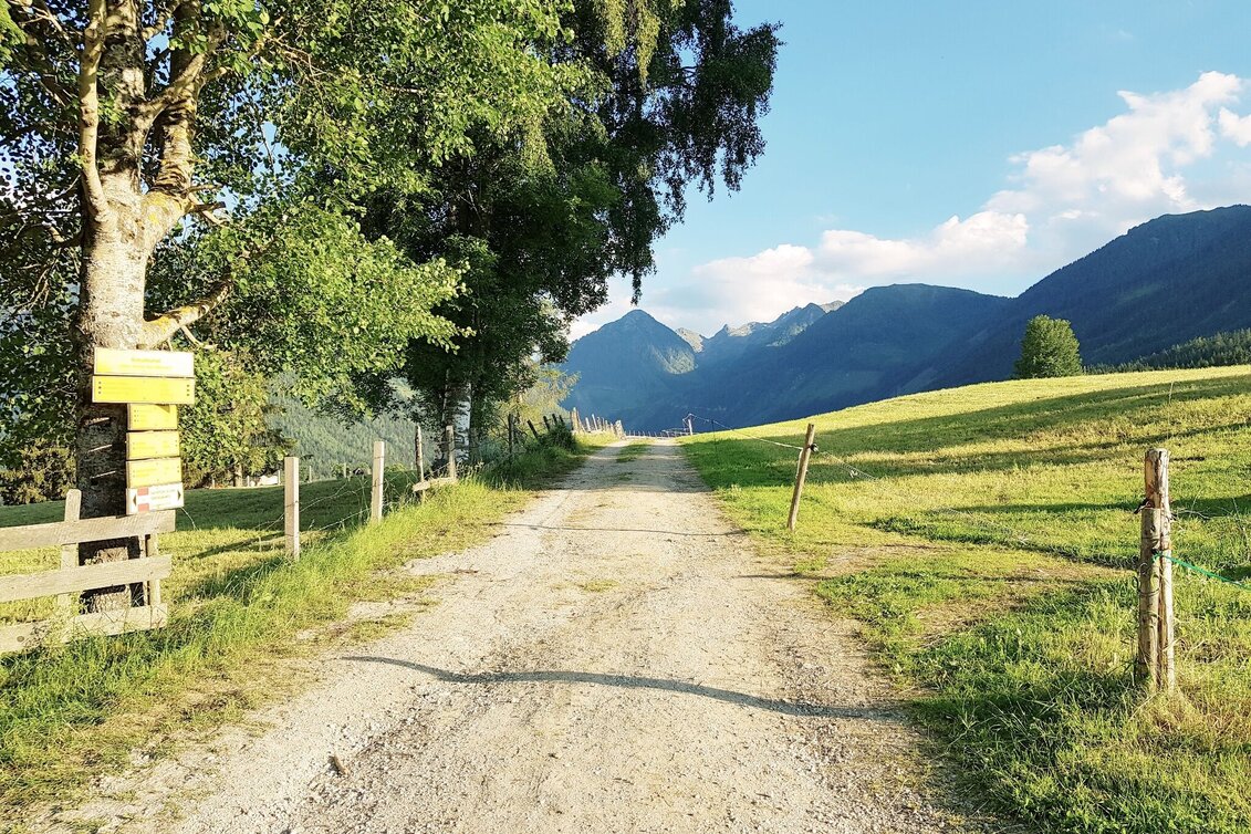 Jogging Michael Tritscher Run - Touren-Impression #1 | © Gerhard Pilz