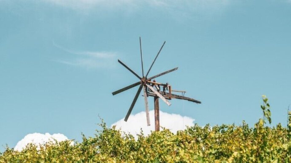 Hiking route Weingarten Tour – Tour 34 lt. WK „Von der Alm zum Wein“ - Touren-Impression #2.1 | © TV Südsteiermark/Silvan