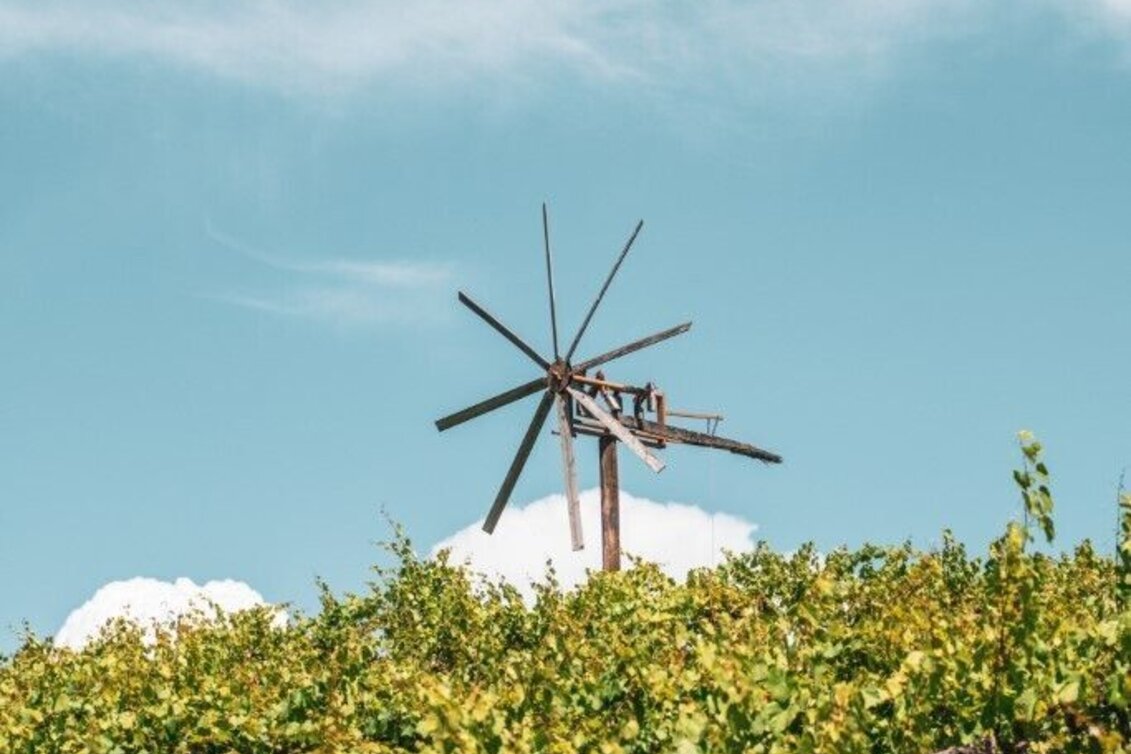 Hiking route Weingarten Tour – Tour 34 lt. WK „Von der Alm zum Wein“ - Touren-Impression #1 | © TV Südsteiermark/Silvan