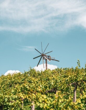 Weingarten und Klapotetz | Silvan | © TV Südsteiermark/Silvan