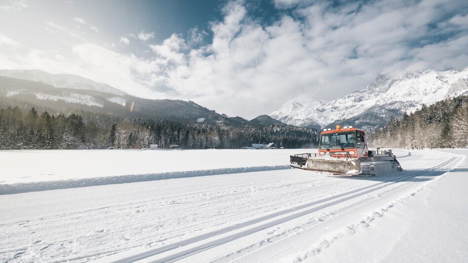 Ski nordic skating Cross-Country Skiing Centre - national park Cross-Country Ski Trails Zirnitz - Mühlau -Steinfeld - Touren-Impression #2.2 | © Stefan Leitner