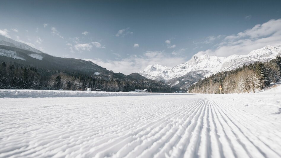 Ski nordic skating Cross-Country Skiing Centre - national park Cross-Country Ski Trails Zirnitz - Mühlau -Steinfeld - Touren-Impression #2.3 | © Stefan Leitner