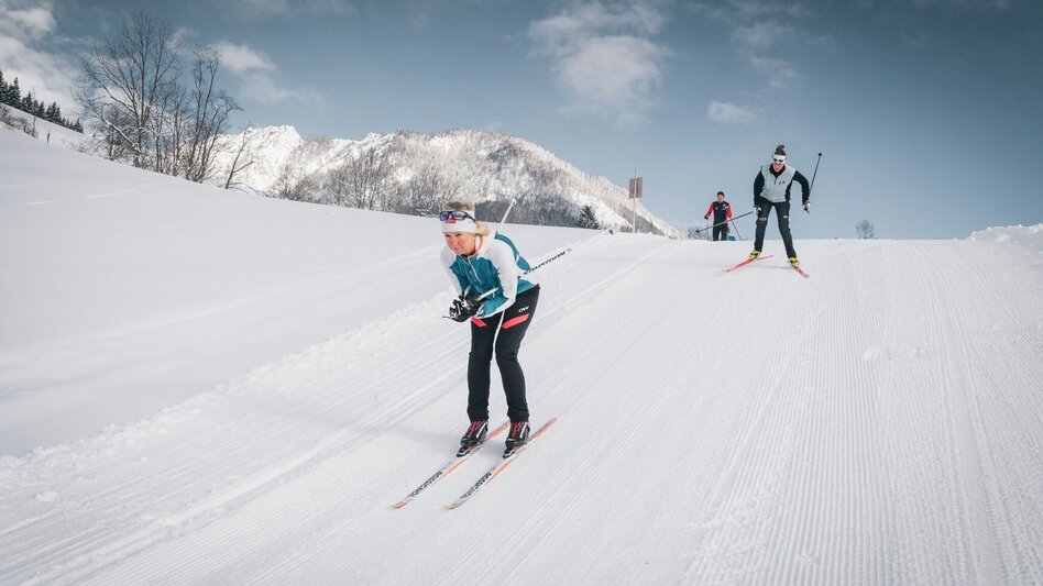 Ski nordic skating Cross-Country Skiing Centre - national park Cross-Country Ski Trails Zirnitz - Mühlau -Steinfeld - Touren-Impression #2.5 | © Stefan Leitner