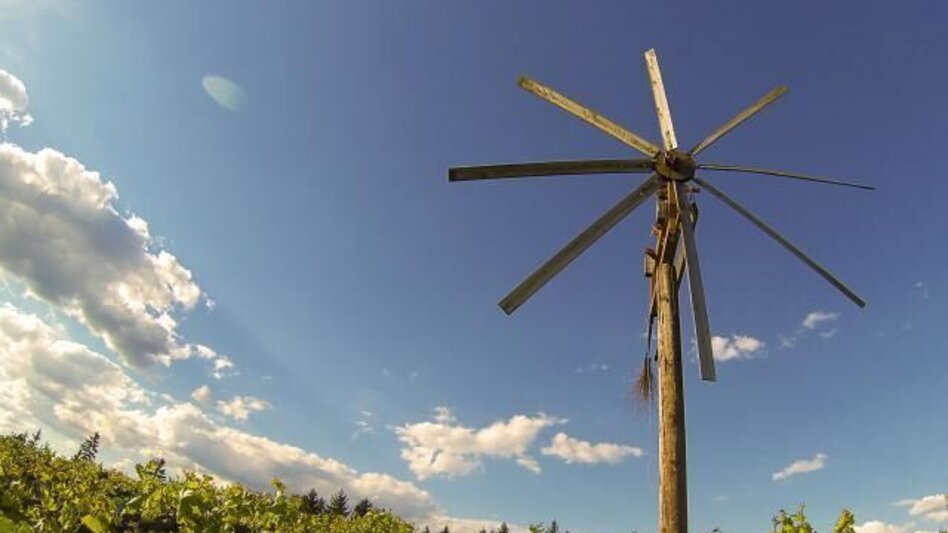 Hiking route Schilcher Spritztour - Touren-Impression #2.1 | © TVB Südsteiermark/Nora Ruhri