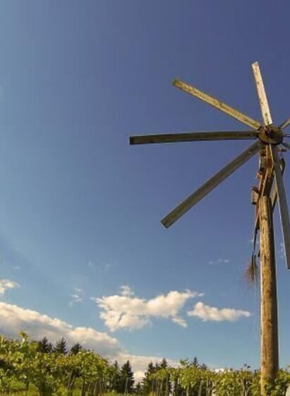 Klapotetz Weingarten | © TVB Südsteiermark/Nora Ruhri | Nora Ruhri | © TVB Südsteiermark/Nora Ruhri