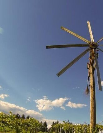 Klapotetz Weingarten | Nora Ruhri | © TVB Südsteiermark/Nora Ruhri