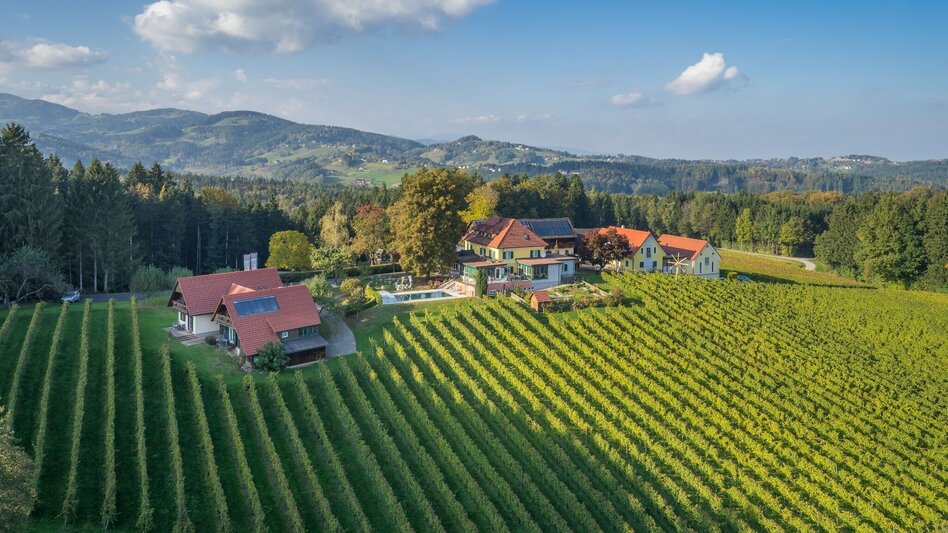 Hiking route Schilcher Spritztour - Touren-Impression #2.2 | © TVB/Südsteiermark/Nora Ruhri