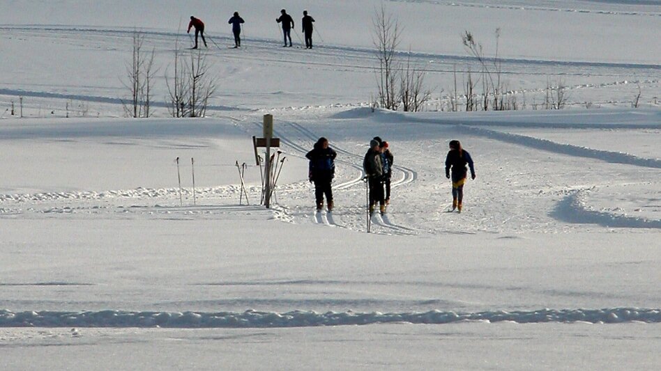 Langlauf Skating Ardninger Moorloipe - Touren-Impression #2.2 | © TV Gesäuse