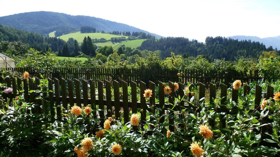 Bike Riding Garten Eden-Tour, St. Kathrein am Offenegg - Touren-Impression #2.7 | © Oststeiermark Tourismus