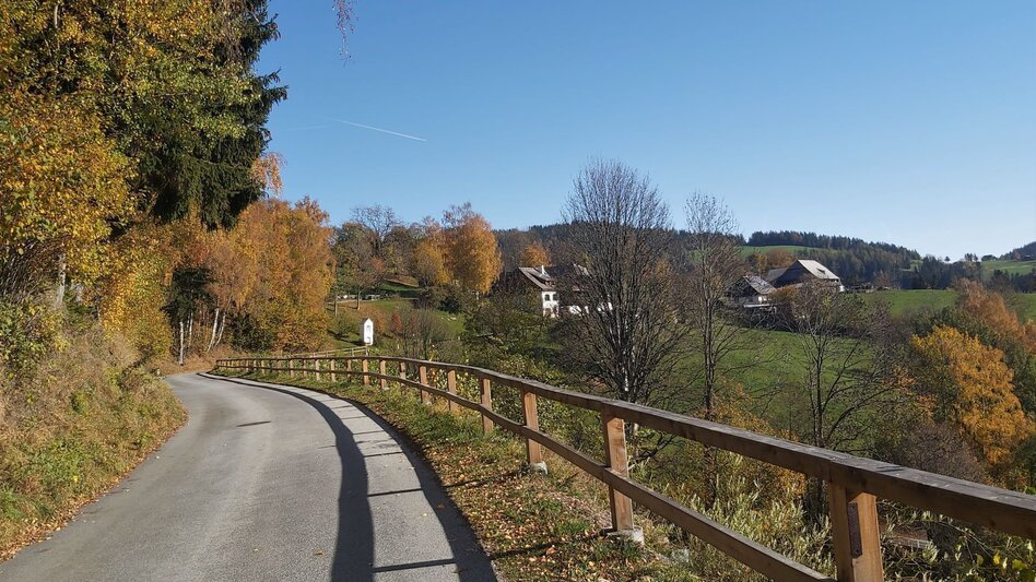 Bike Riding Garten Eden-Tour, St. Kathrein am Offenegg - Touren-Impression #2.8 | © Oststeiermark Tourismus